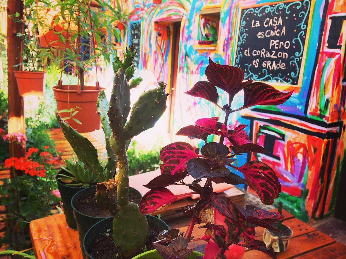 هوماهواكا La Puerta Verde Hostel & Bar المظهر الخارجي الصورة